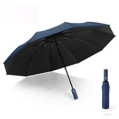 Automatic 10 Ribs Umbrella - Rain Or Shine - Multiple Colors