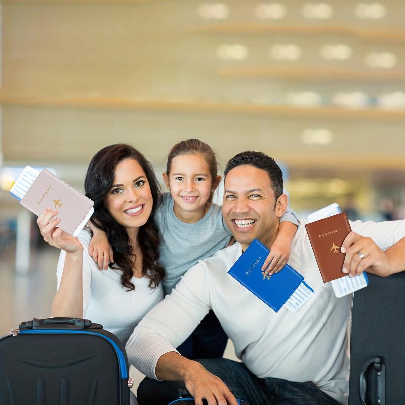 Airplane Pattern Passport Holder And Luggage Tag Set