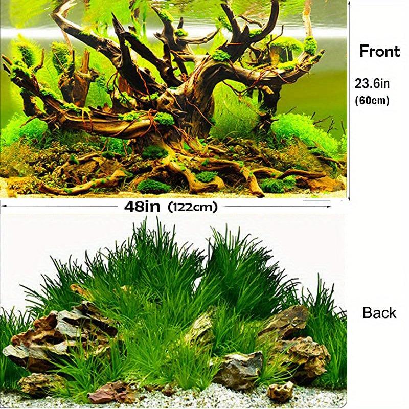 Underwater Forest Fish Tank Background