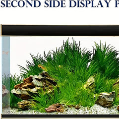 Underwater Forest Fish Tank Background