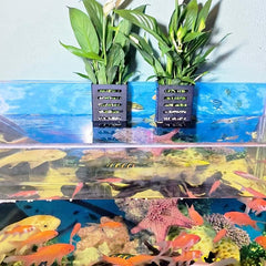 2pcs Hanging Aquarium Planter Cups Aquatic Plants Holder Fish Tank Decor