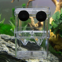 Fish Breeding Box for Betta Fish in Aquariums and Fish Bowls