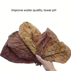 Natural Aquatic Almond Leaves for pH Balance and Water Conditioning (10pcs)