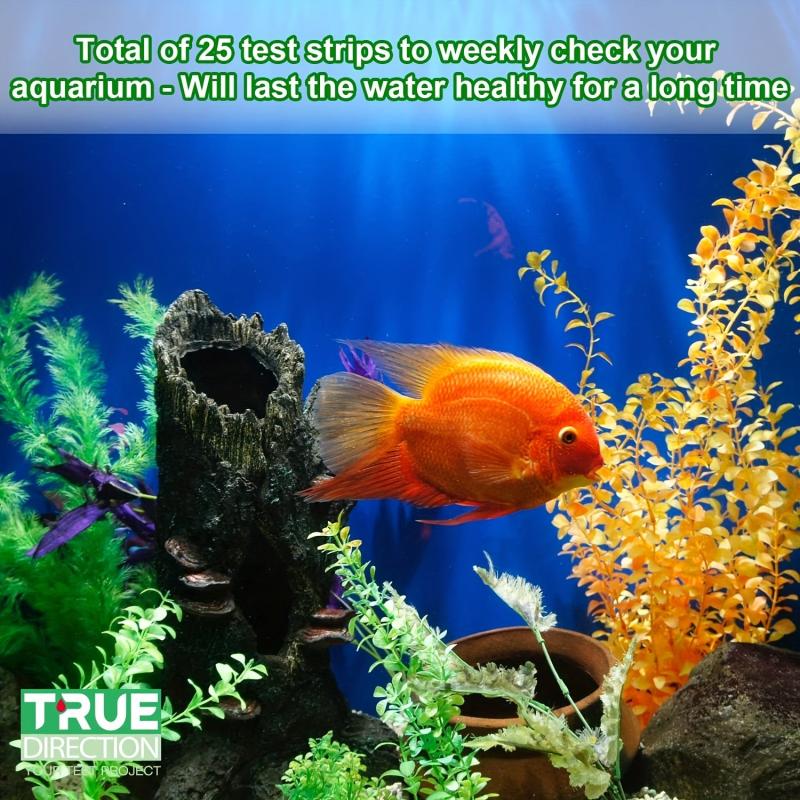 Ammonia Test Strips for Fish Tanks - Monitor NH3 NH4 Levels