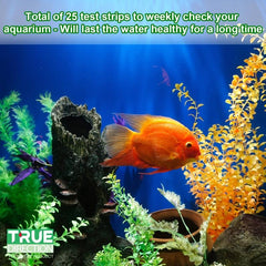 Ammonia Test Strips for Fish Tanks - Monitor NH3 NH4 Levels
