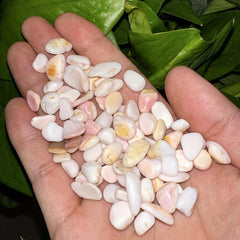 Natural Pink Shell Gravel DIY Decoration Fish Tank Aquarium Decor