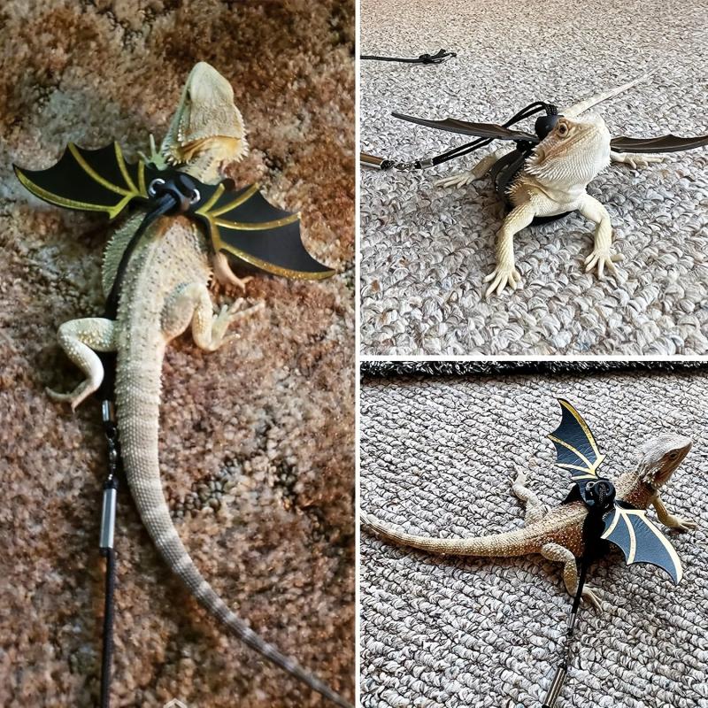 Adjustable Lizard Harness Leash for Reptiles Bearded Dragon Wings Halloween