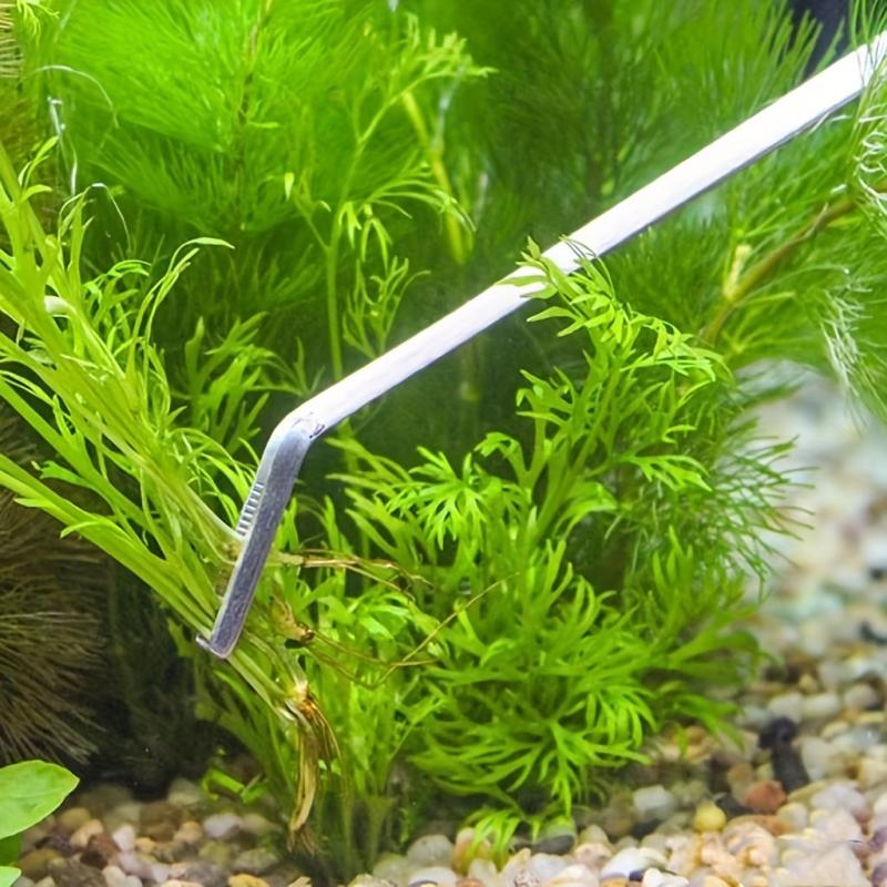 Stainless Steel Aquatic Plant Scissors for Aquariums