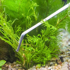 Stainless Steel Aquatic Plant Scissors for Aquariums