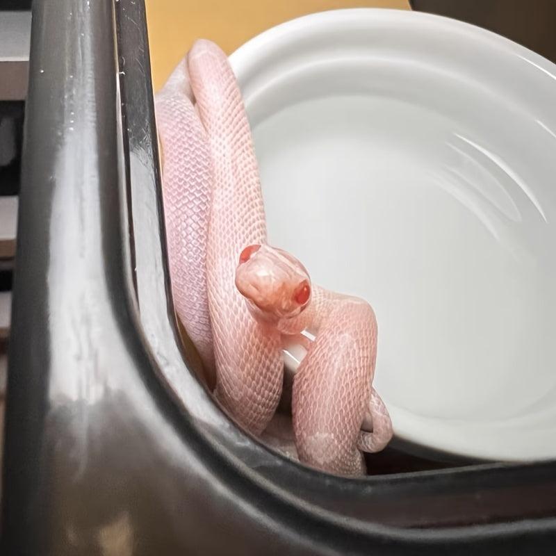 Pet Bath Basin for Reptile Breeding Box