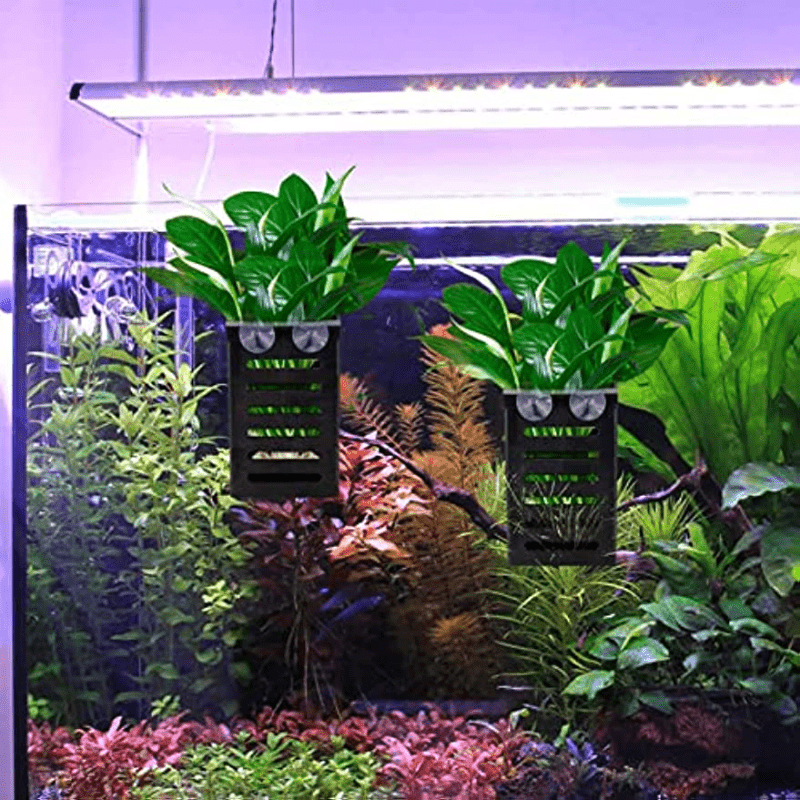 Aquarium Plant Holder With Hooks and Suction Cups (2 Pack)