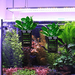 Aquarium Plant Holder With Hooks and Suction Cups (2 Pack)