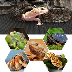 Non Adhesive Reptile Terrarium Carpet Base for Reptiles - 70 Inch