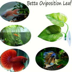 Natural Betta Fish Leaf Pad Aquarium Decor