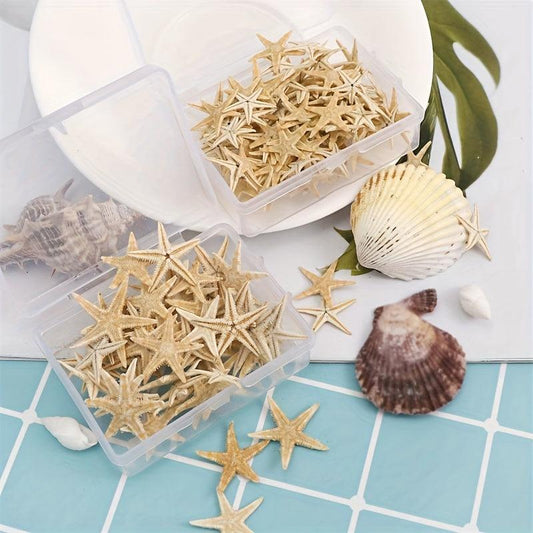 20pcs Natural Starfish Sea Shell Conch Fish Tank Decoration Ornaments