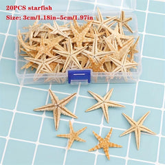 20pcs Natural Starfish Sea Shell Conch Fish Tank Decoration Ornaments