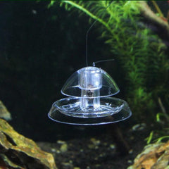 Transparent Snail Trap Aquarium Fish Tank Plants Planarian Leech Catch