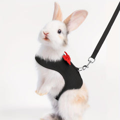 Breathable Mesh Rabbit Chest Harness Set for Small Animals