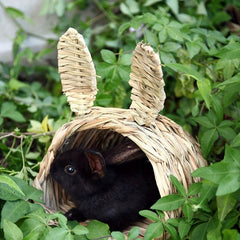 Natural Grass Hideaway Hut for Small Animals