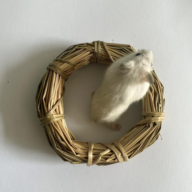 Small Pet Teething Straw Rings, Grass Rings, Chewing Toys