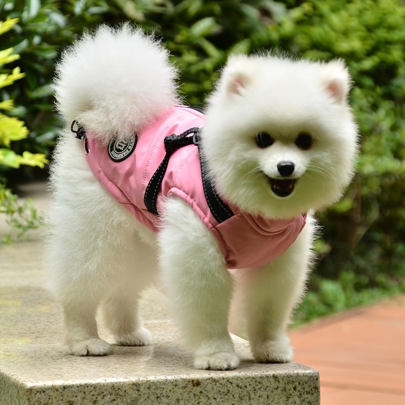 Reflective Dog Coat for Winter Safety