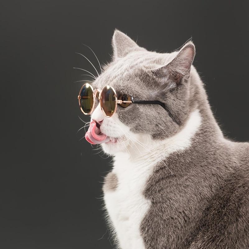 Retro Circular Sunglasses for Pets