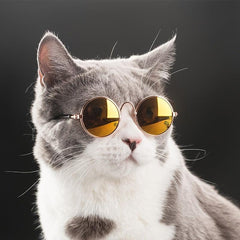 Retro Circular Sunglasses for Pets