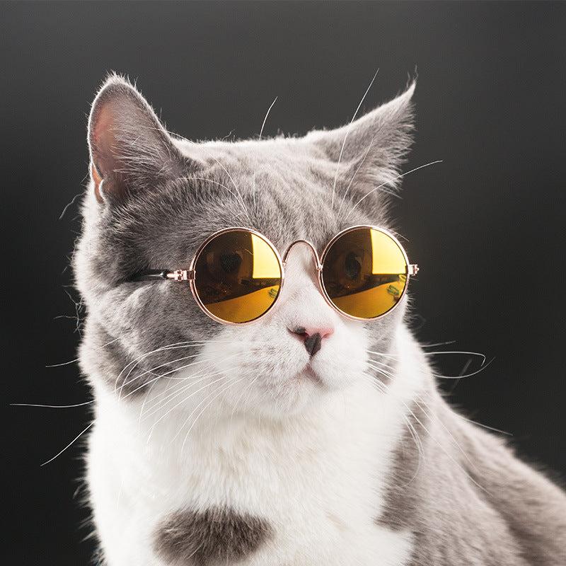 Retro Circular Sunglasses for Pets