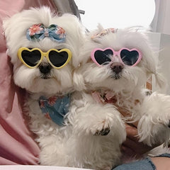 Pet Heart Glasses Photo Props for Dogs and Cats