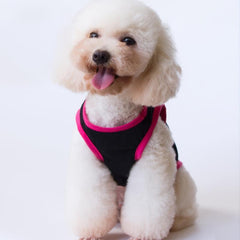 Princess Has Arrived Dog Vest Tank Top Tee