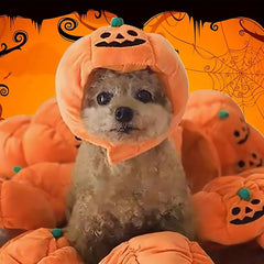 Pumpkin Shaped Cat Hat Warm Pet Costume For Dog & Cat