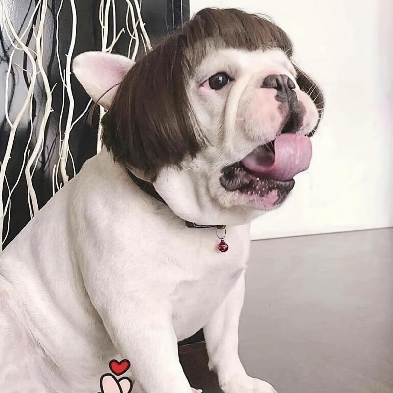 Pet Costumes Wig Dog Cosplay Hair Puppy Cat Wigs