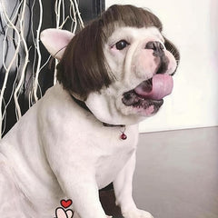 Pet Costumes Wig Dog Cosplay Hair Puppy Cat Wigs