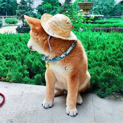 Adjustable Pet Sombrero Straw Hat for Sun Protection