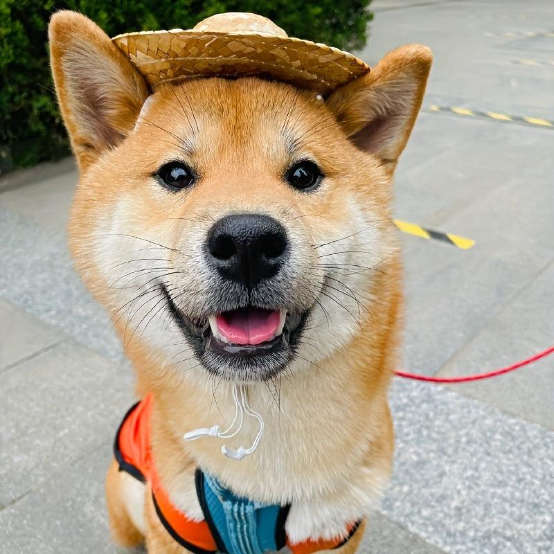 Adjustable Pet Sombrero Straw Hat for Sun Protection