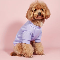 Quick Dry Pet Tee for Summer Parties and Casual