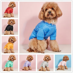 Quick Dry Pet Tee for Summer Parties and Casual