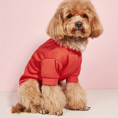 Quick Dry Pet Tee for Summer Parties and Casual