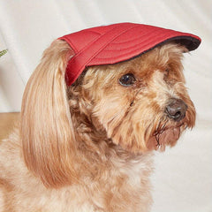 Red Sun Protective Dog Baseball Cap with Ear Holes