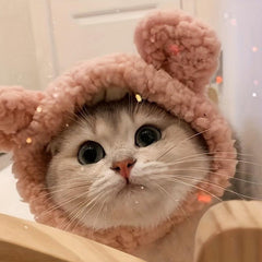 Holiday Pet Costumes Bear Ears Small Hat Funny Headdress