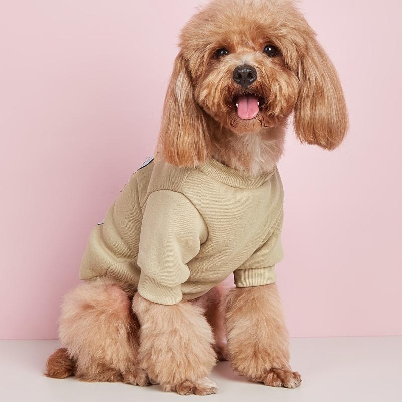 Pet Print Sweatshirt with Bear Cartoon Decor