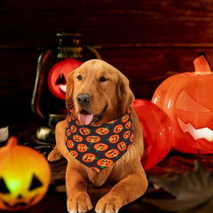 Halloween Pet Bandana Pumpkin Head Graphic Bib Dog Cat Scarf