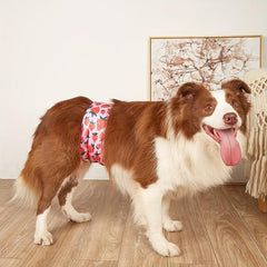 Waterproof Reusable Male Dog Diapers Belly Bands - Comfortable Fit