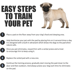 Disposable Pet Dog Diaper Pads Absorbent Quick Dry Dog Urine Pad
