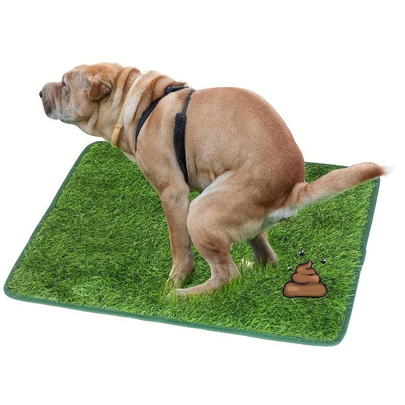 Dog Grass Pad Mat Outdoor Training Washable Breathable
