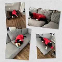 Soft Coral Fleece Pet Towels Quick Drying Bathrobe for Dogs Cats