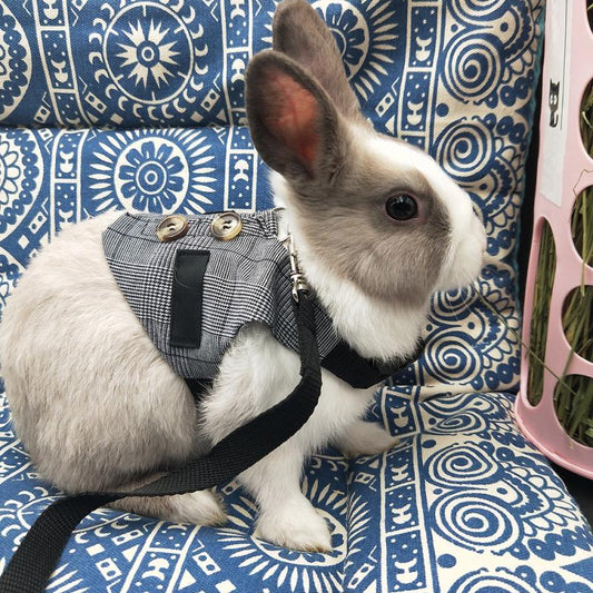 Rabbit Harness And Leash Set Bunny Vest With Button Decor Small Animal