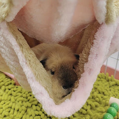 Hammock for Small Pets - Ideal for Hamsters, Rats, Chinchillas
