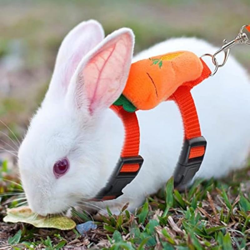 Adjustable Bunny Rabbit Harness And Leash Set For Small Pets - Fruit Pattern