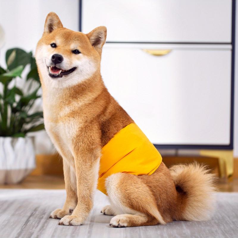 Male Dog Physiological Sanitary Pants for Small and Medium Breeds
